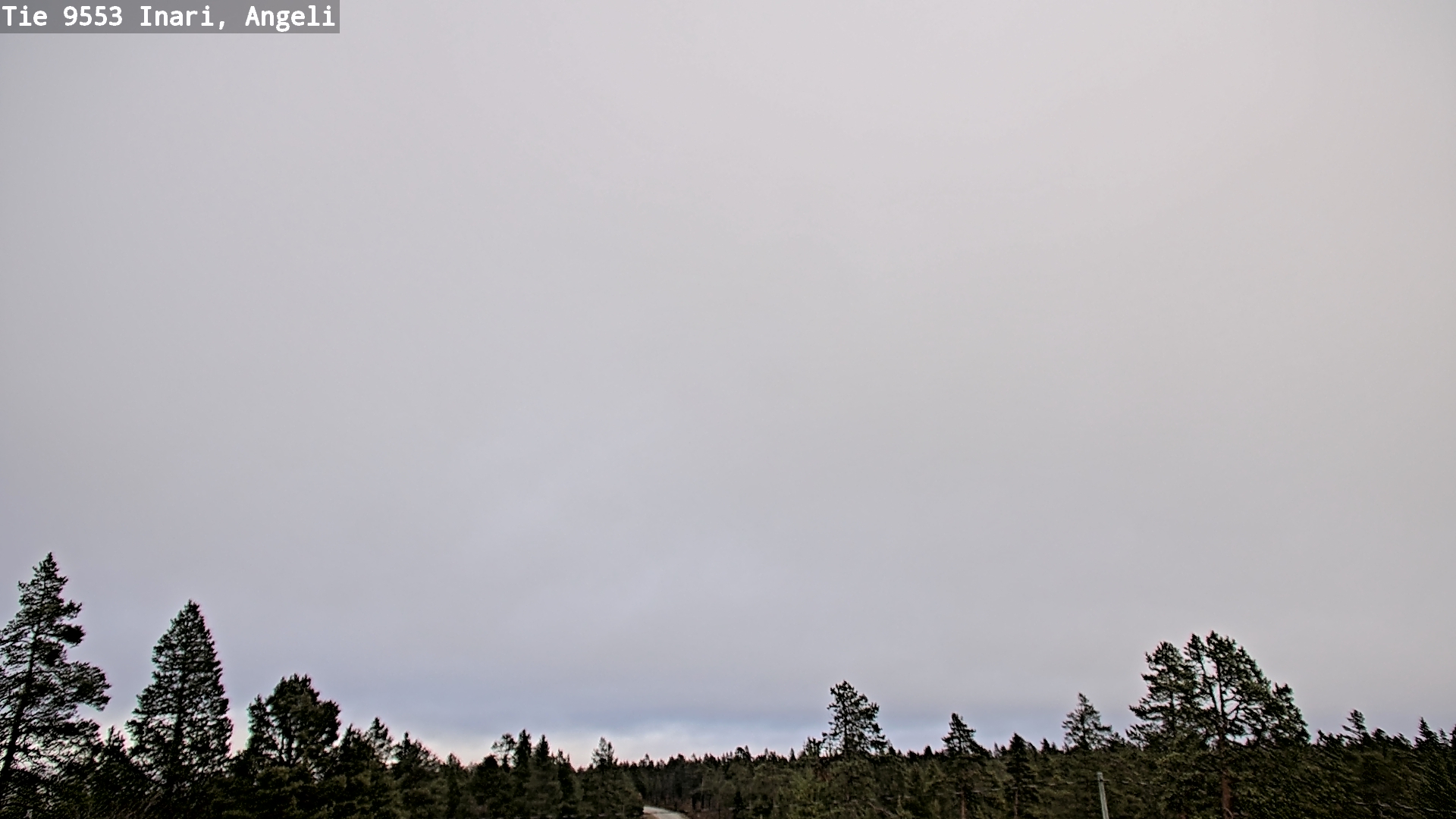 Weather Camera Image Road 9553 Inari, Angeli, Lintupuolivaara, Inari, Lappi