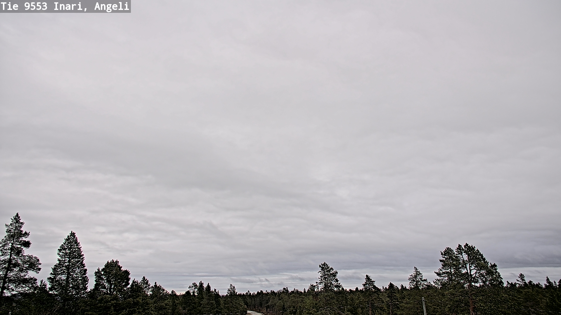 Kelikamerat Kuva Tie 9553 Inari, Angeli, Lintupuolivaara, Inari, Lappi