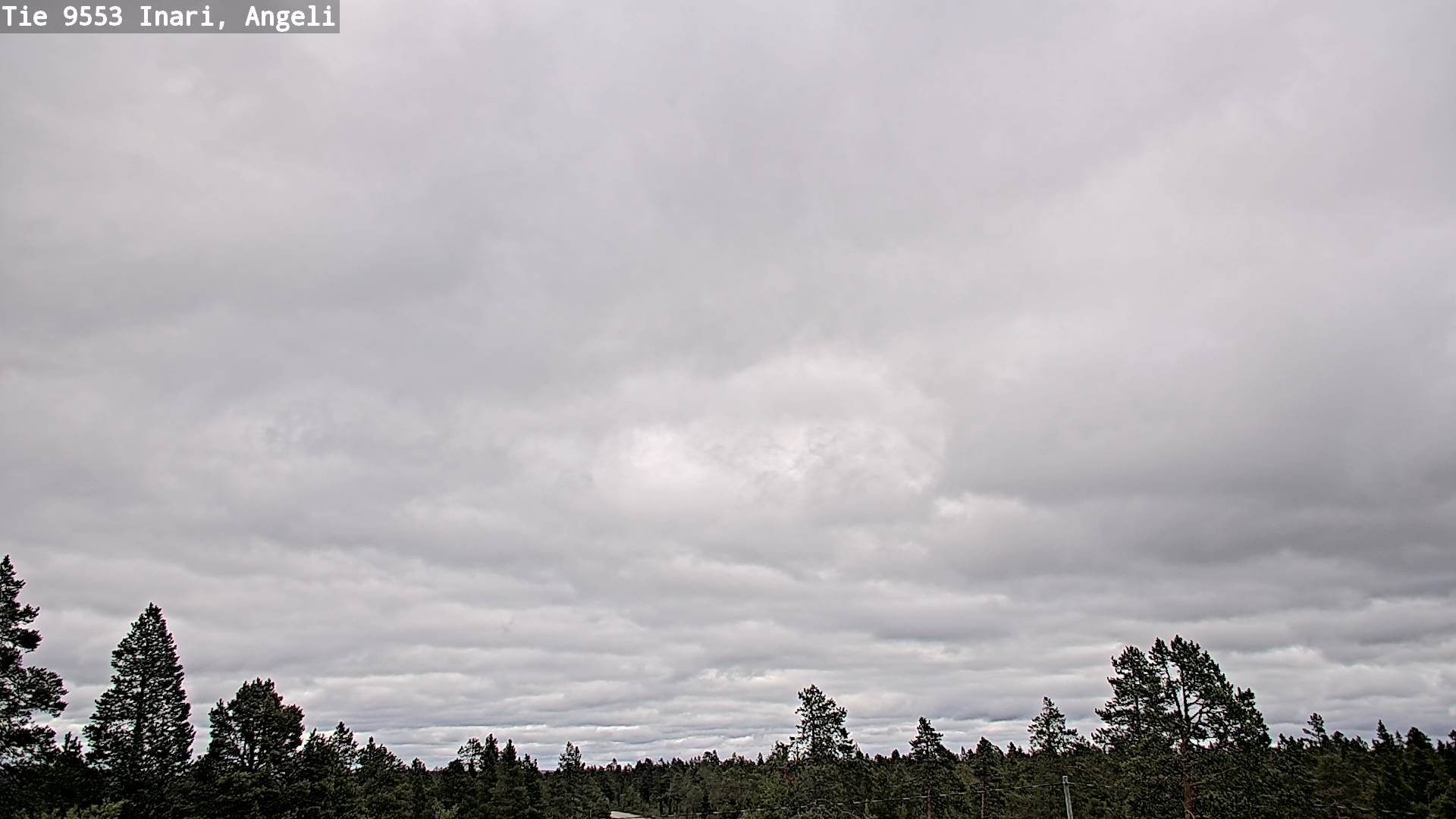 Kelikamerat Kuva Tie 9553 Inari, Angeli, Lintupuolivaara, Inari, Lappi