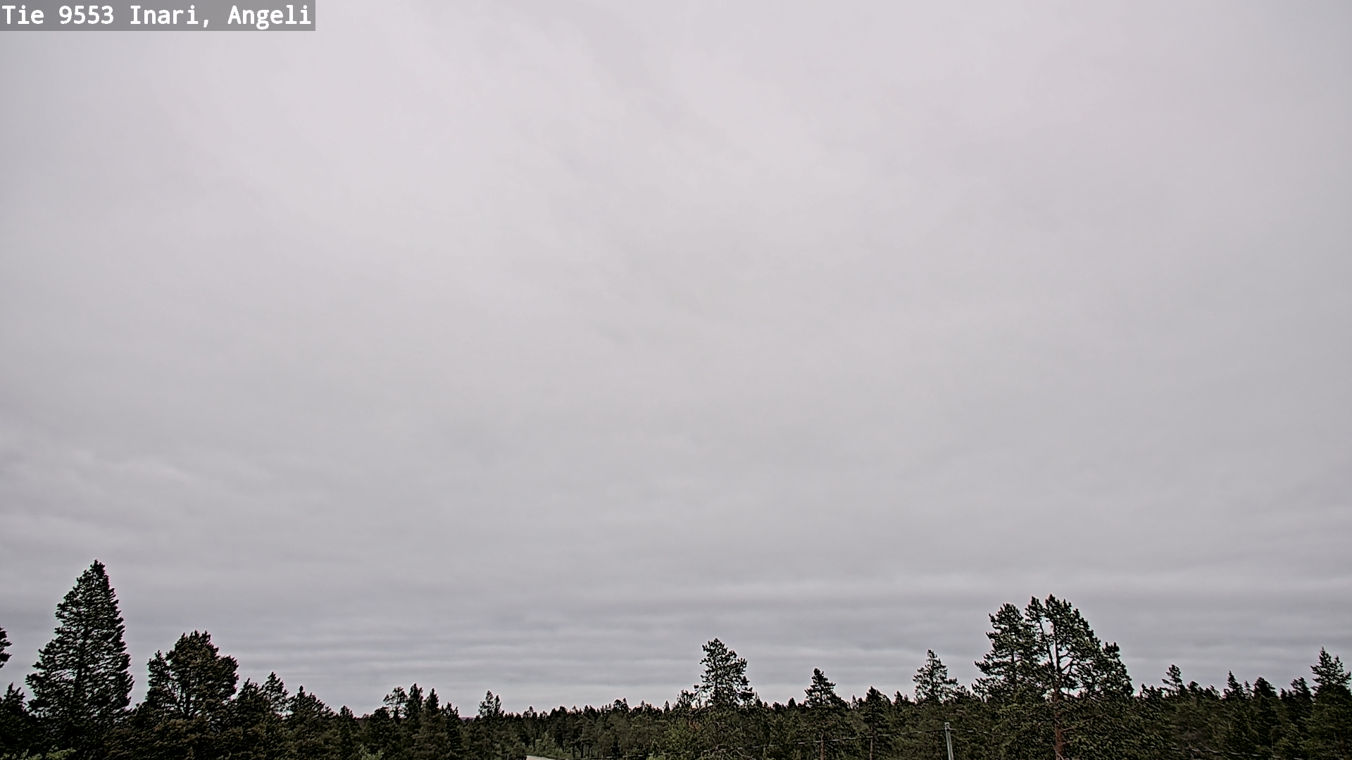 Weather Camera Image Road 9553 Inari, Angeli, Lintupuolivaara, Inari, Lappi
