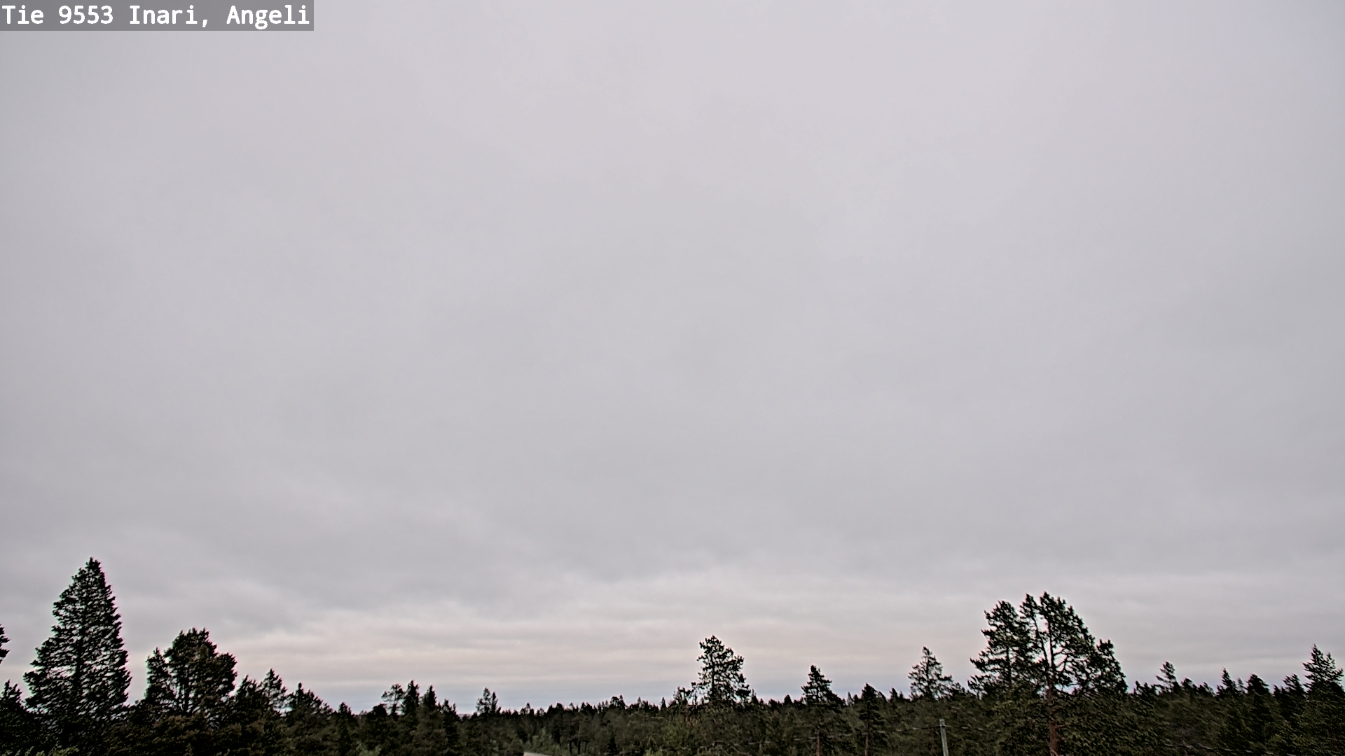 Kelikamerat Kuva Tie 9553 Inari, Angeli, Lintupuolivaara, Inari, Lappi