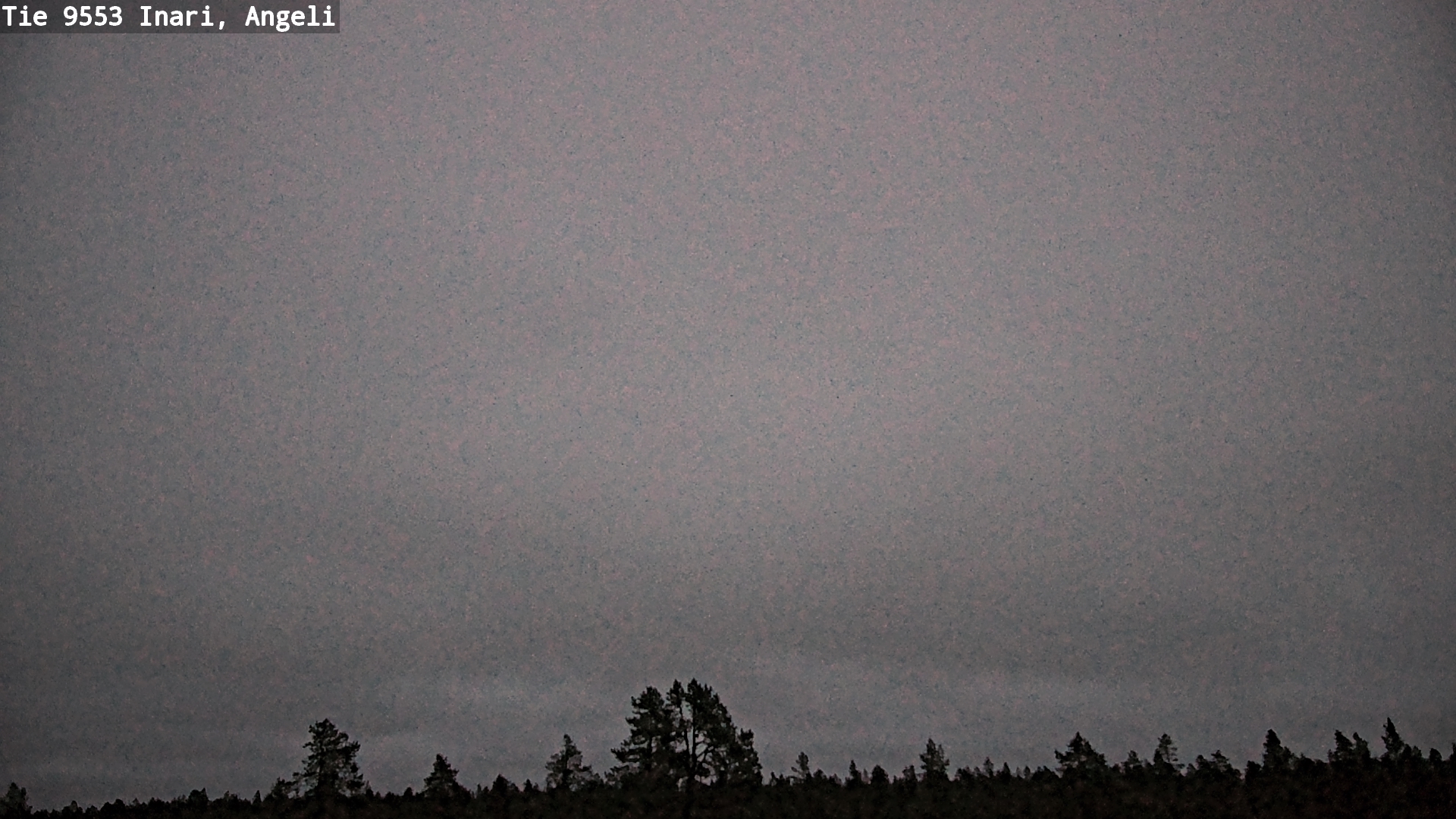 Kelikamerat Kuva Tie 9553 Inari, Angeli, Lintupuolivaara, Inari, Lappi