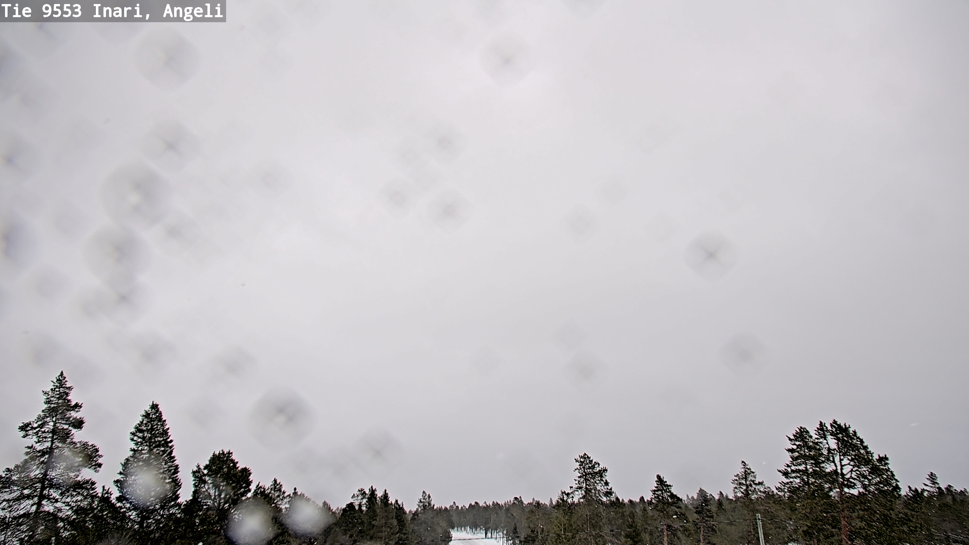 Kelikamerat Kuva Tie 9553 Inari, Angeli, Lintupuolivaara, Inari, Lappi