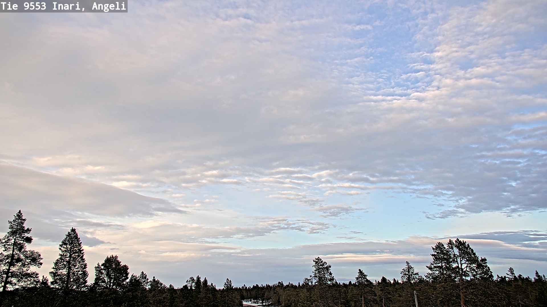 Weather Camera Image Road 9553 Inari, Angeli, Lintupuolivaara, Inari, Lappi