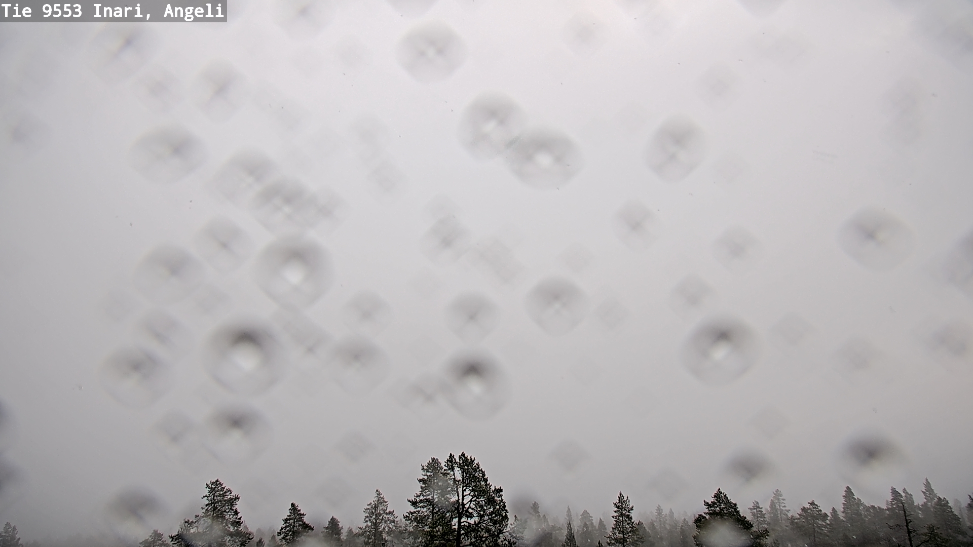 Kelikamerat Kuva Tie 9553 Inari, Angeli, Lintupuolivaara, Inari, Lappi