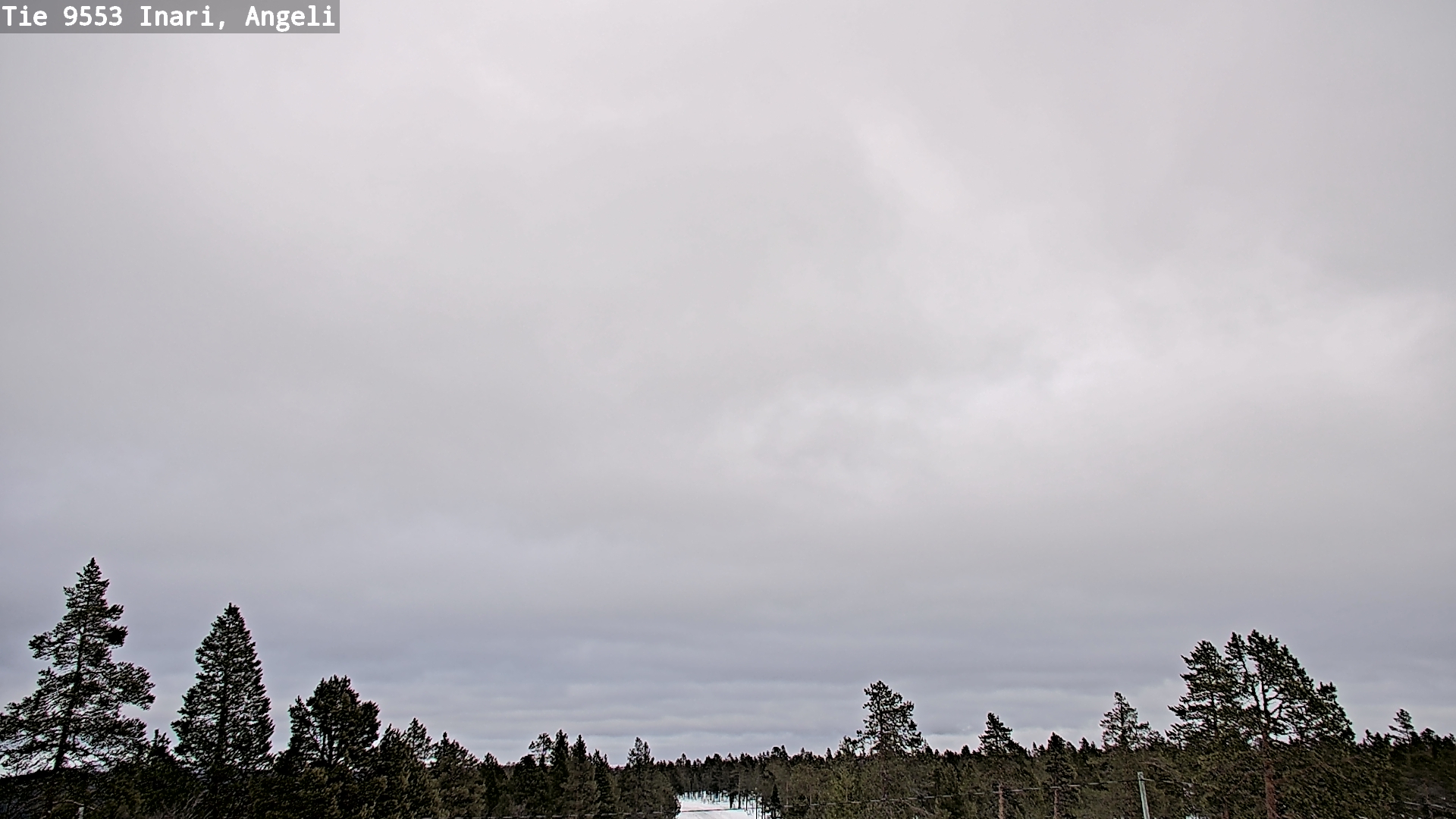 Kelikamerat Kuva Tie 9553 Inari, Angeli, Lintupuolivaara, Inari, Lappi