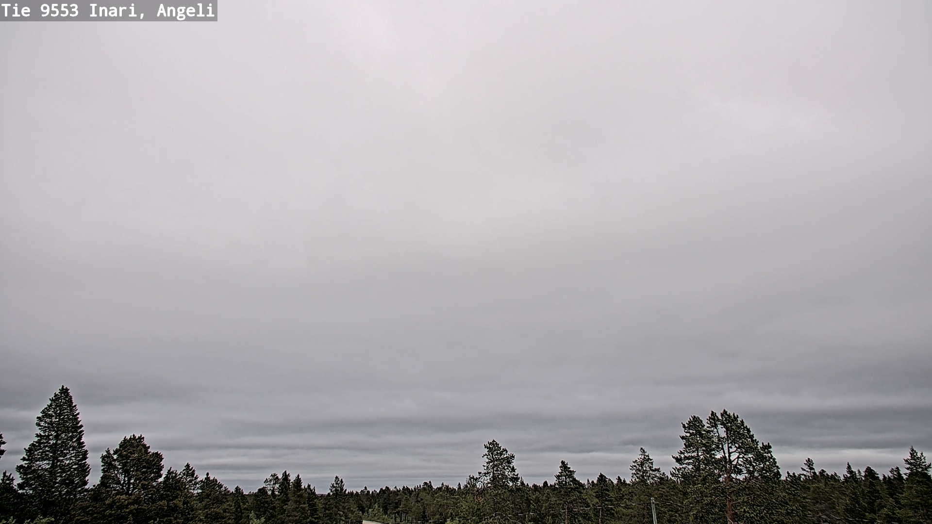 Weather Camera Image Road 9553 Inari, Angeli, Lintupuolivaara, Inari, Lappi