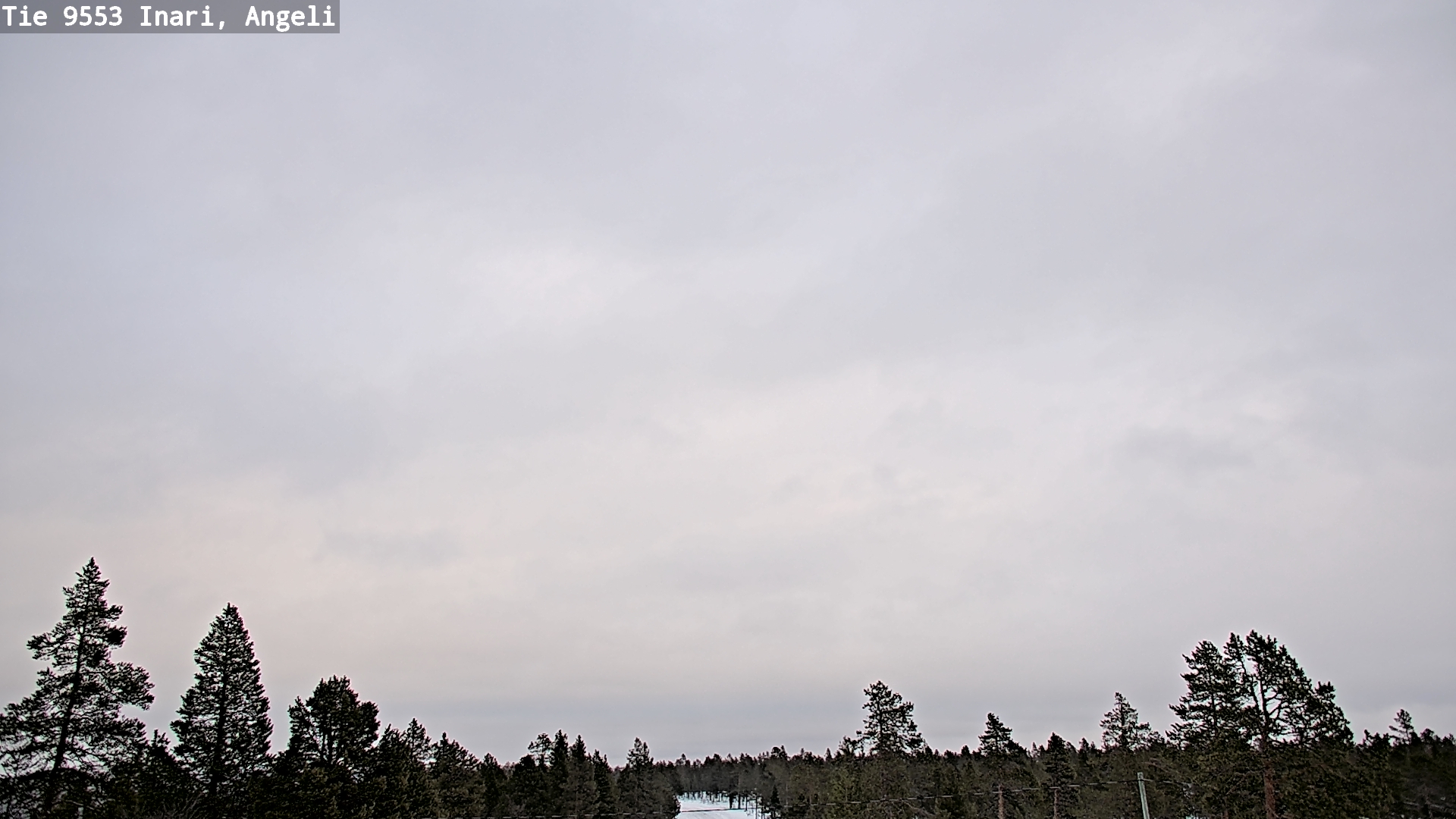 Kelikamerat Kuva Tie 9553 Inari, Angeli, Lintupuolivaara, Inari, Lappi