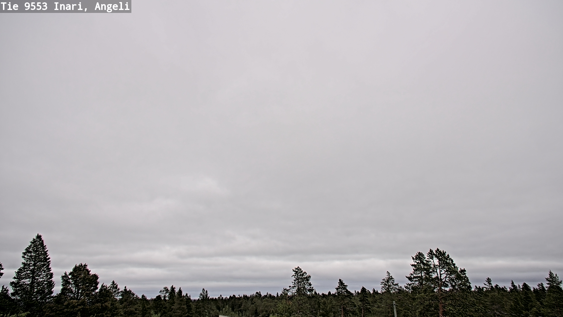 Weather Camera Image Road 9553 Inari, Angeli, Lintupuolivaara, Inari, Lappi