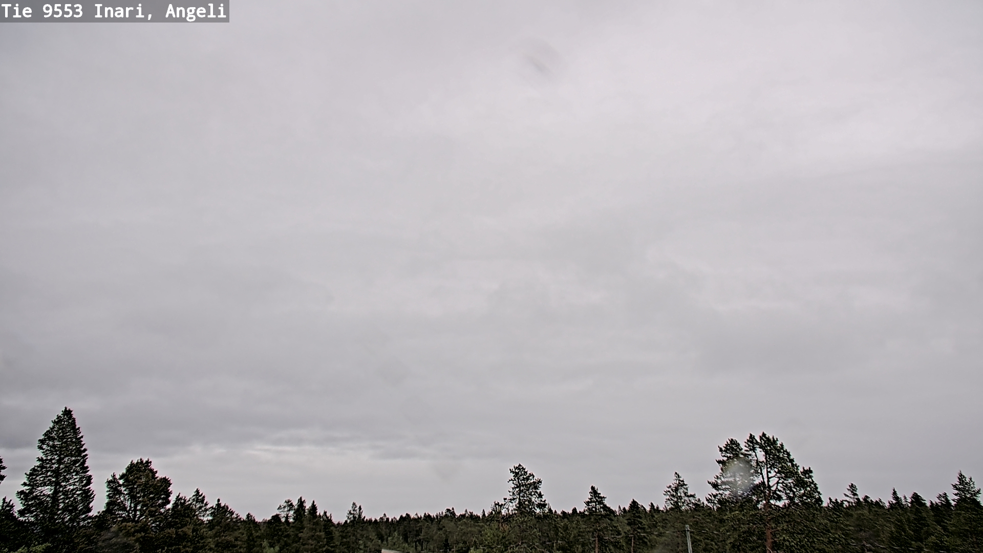 Weather Camera Image Road 9553 Inari, Angeli, Lintupuolivaara, Inari, Lappi
