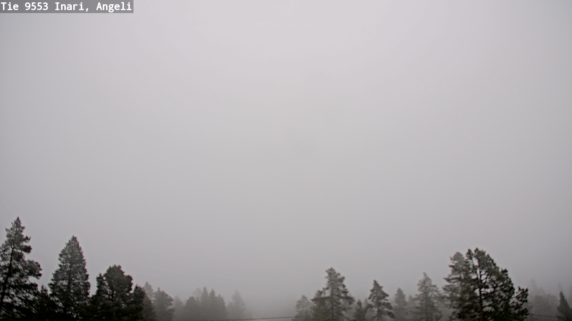 Weather Camera Image Road 9553 Inari, Angeli, Lintupuolivaara, Inari, Lappi