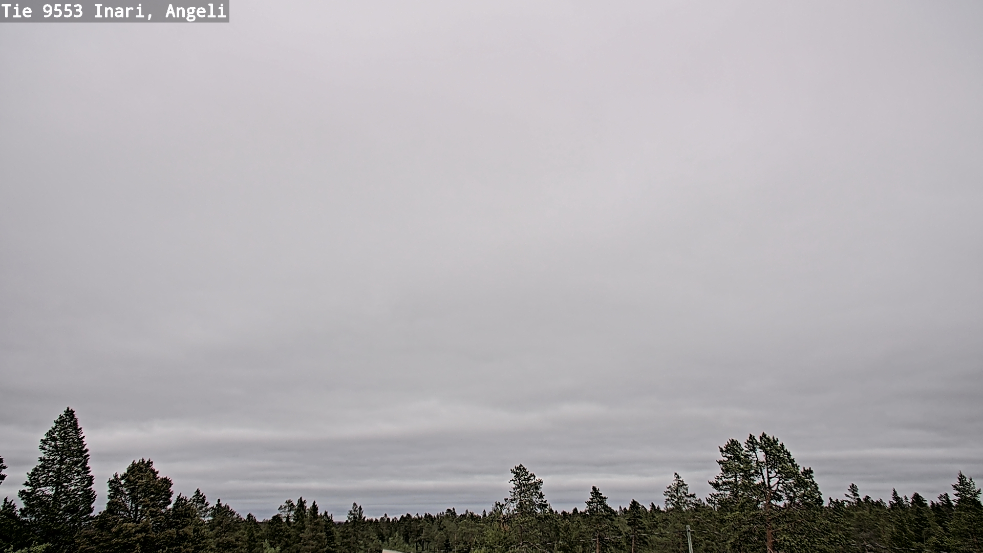 Weather Camera Image Road 9553 Inari, Angeli, Lintupuolivaara, Inari, Lappi