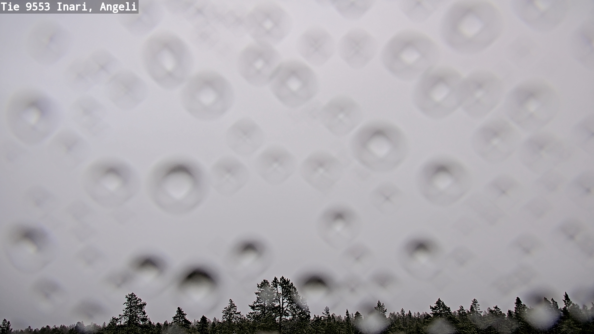 Kelikamerat Kuva Tie 9553 Inari, Angeli, Lintupuolivaara, Inari, Lappi