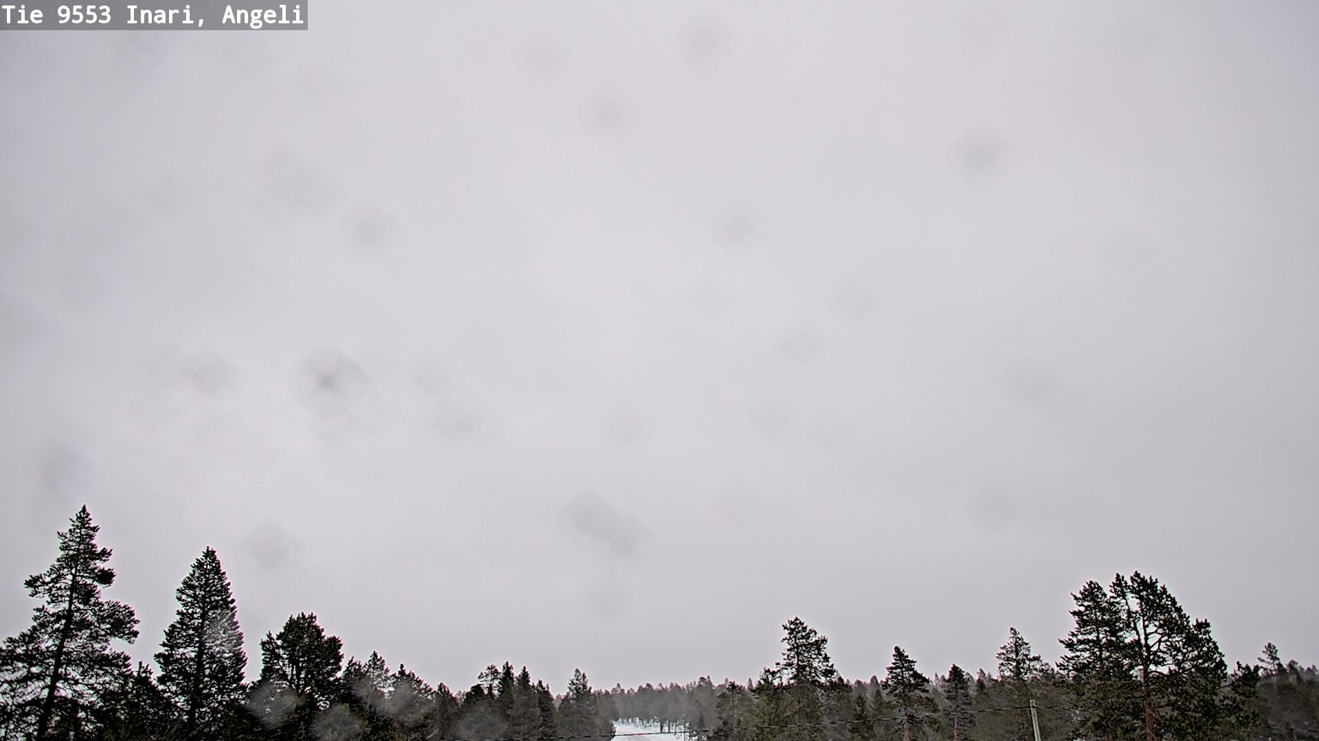 Kelikamerat Kuva Tie 9553 Inari, Angeli, Lintupuolivaara, Inari, Lappi