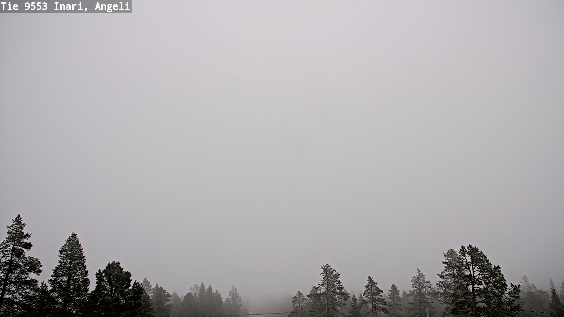 Weather Camera Image Road 9553 Inari, Angeli, Lintupuolivaara, Inari, Lappi