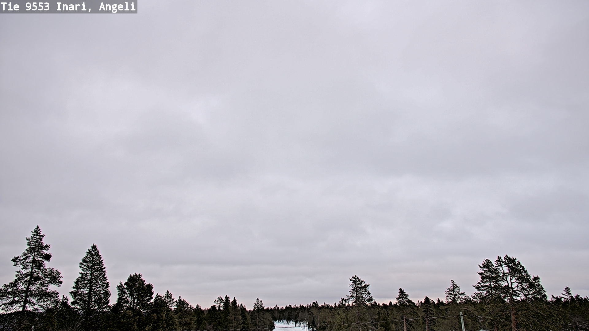 Weather Camera Image Road 9553 Inari, Angeli, Lintupuolivaara, Inari, Lappi