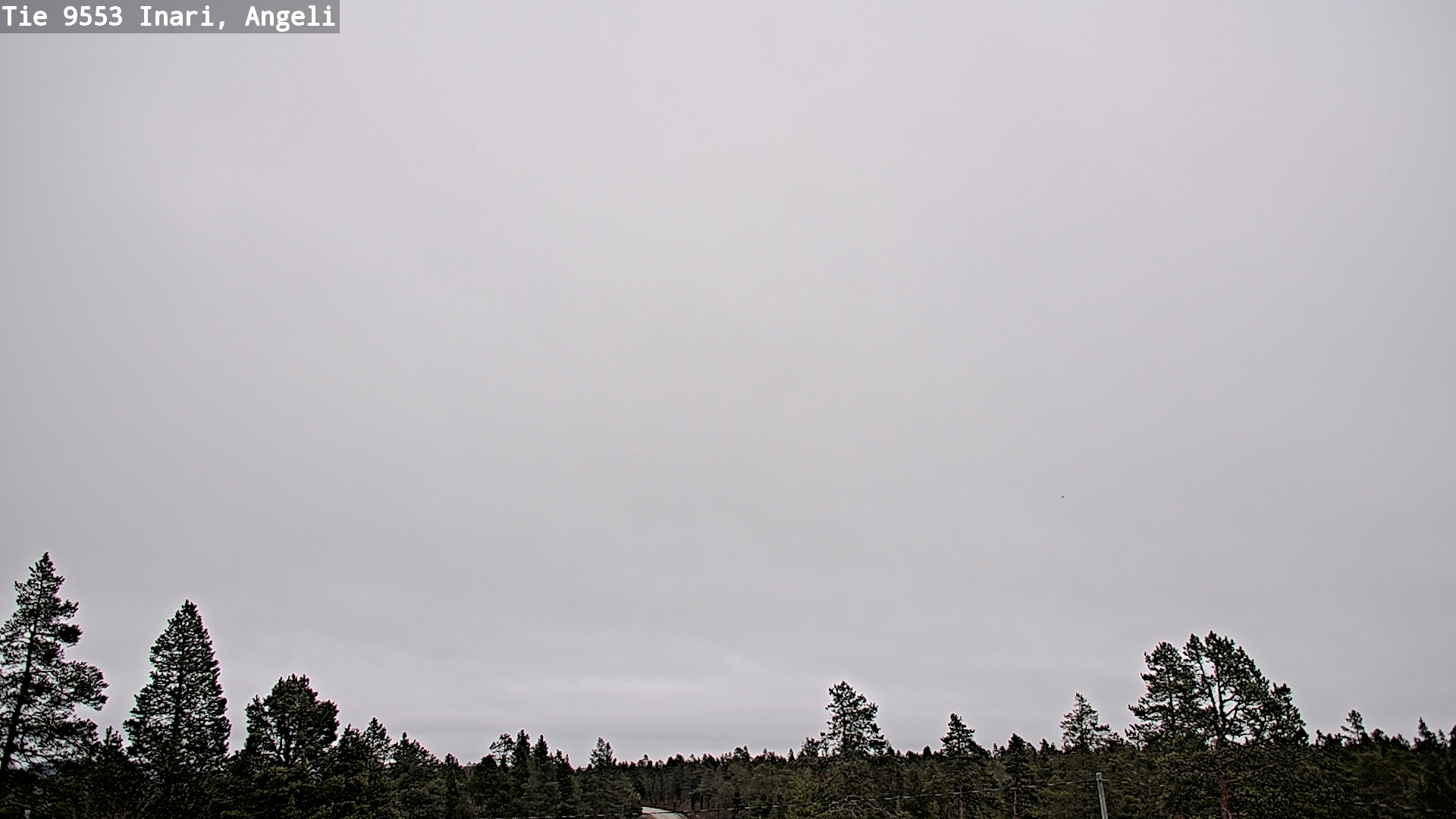 Kelikamerat Kuva Tie 9553 Inari, Angeli, Lintupuolivaara, Inari, Lappi