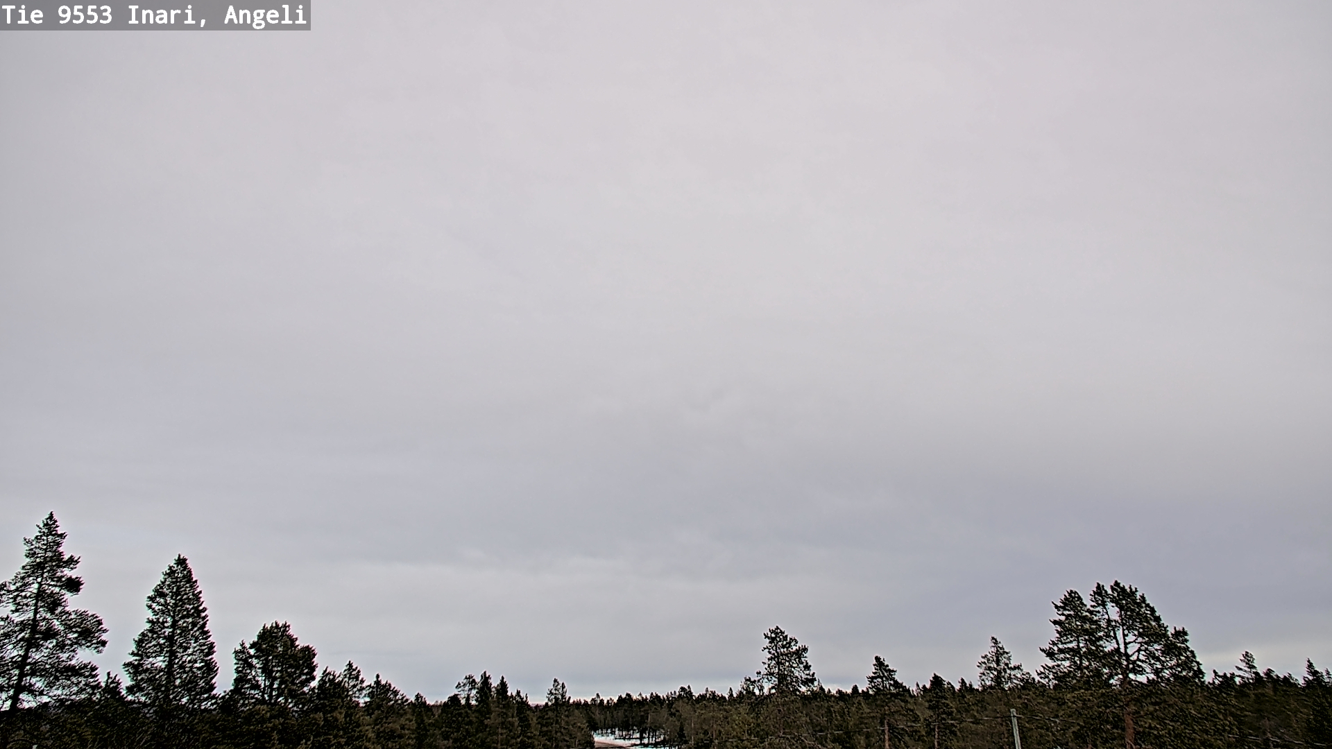 Weather Camera Image Road 9553 Inari, Angeli, Lintupuolivaara, Inari, Lappi
