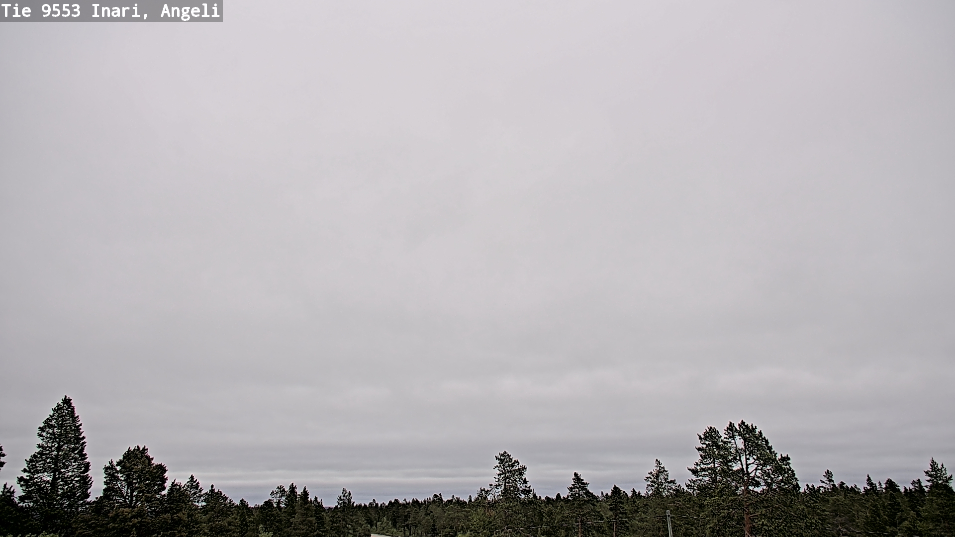 Weather Camera Image Road 9553 Inari, Angeli, Lintupuolivaara, Inari, Lappi