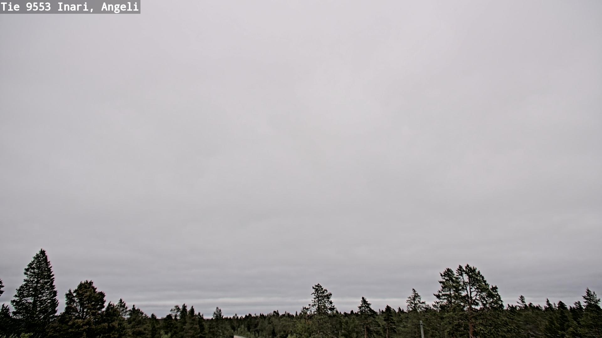Weather Camera Image Road 9553 Inari, Angeli, Lintupuolivaara, Inari, Lappi