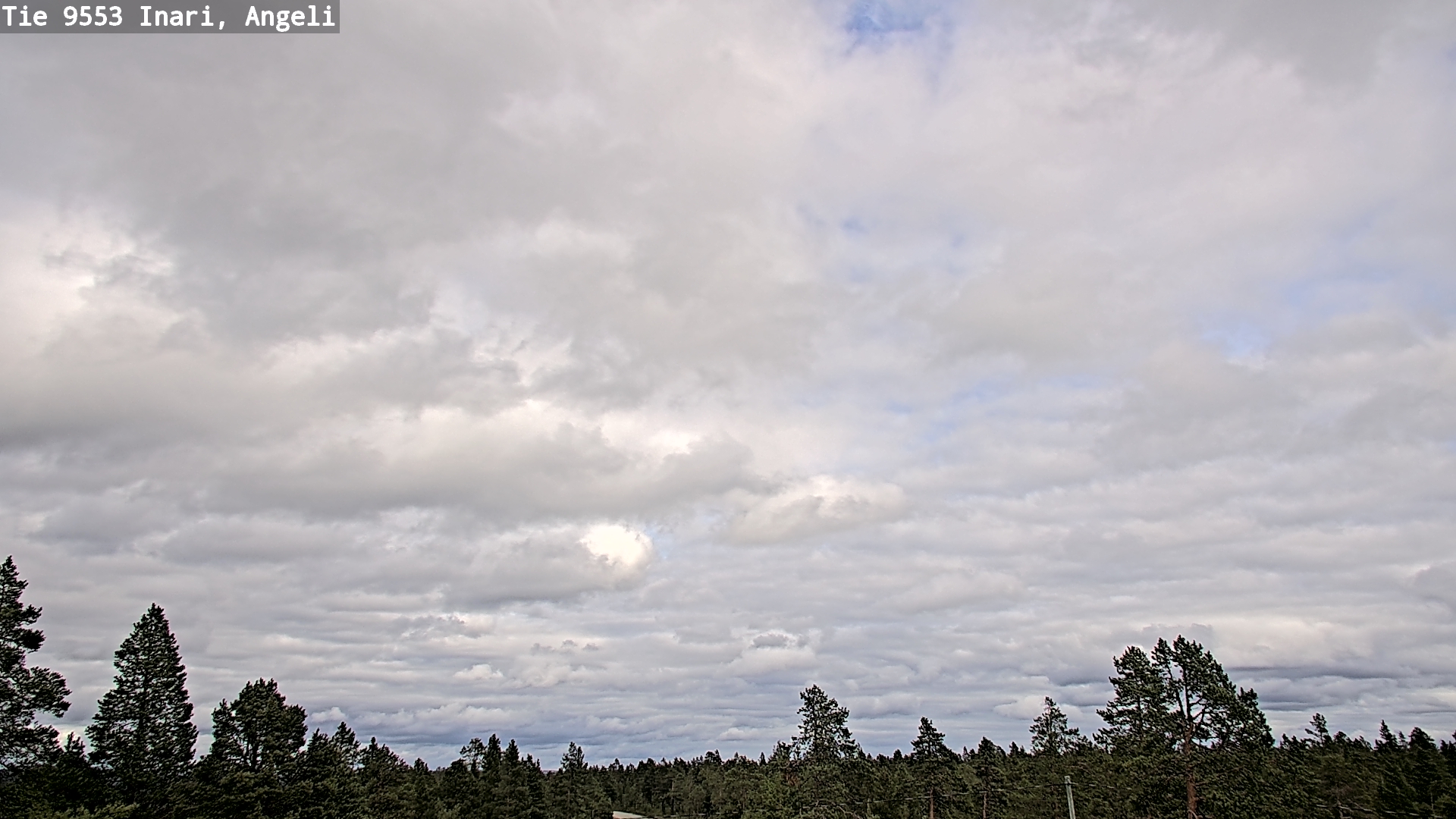 Kelikamerat Kuva Tie 9553 Inari, Angeli, Lintupuolivaara, Inari, Lappi