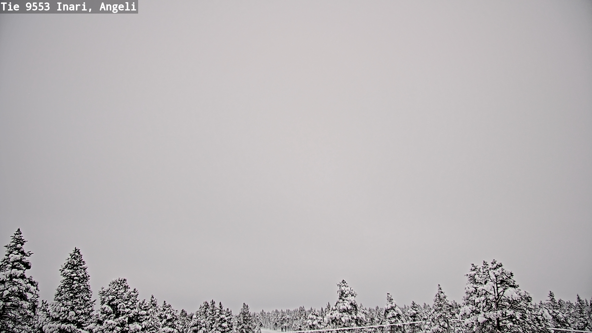 Kelikamerat Kuva Tie 9553 Inari, Angeli, Lintupuolivaara, Inari, Lappi