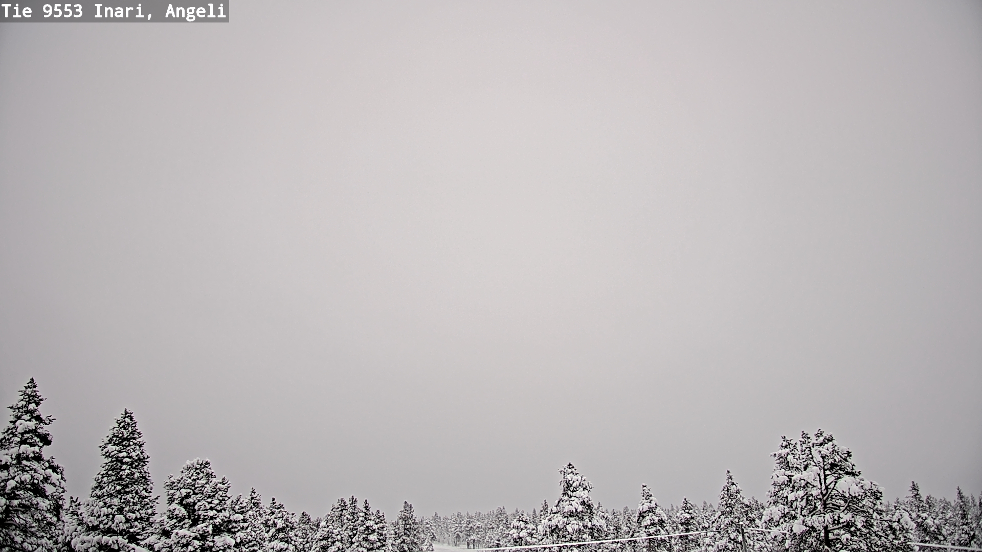 Kelikamerat Kuva Tie 9553 Inari, Angeli, Lintupuolivaara, Inari, Lappi