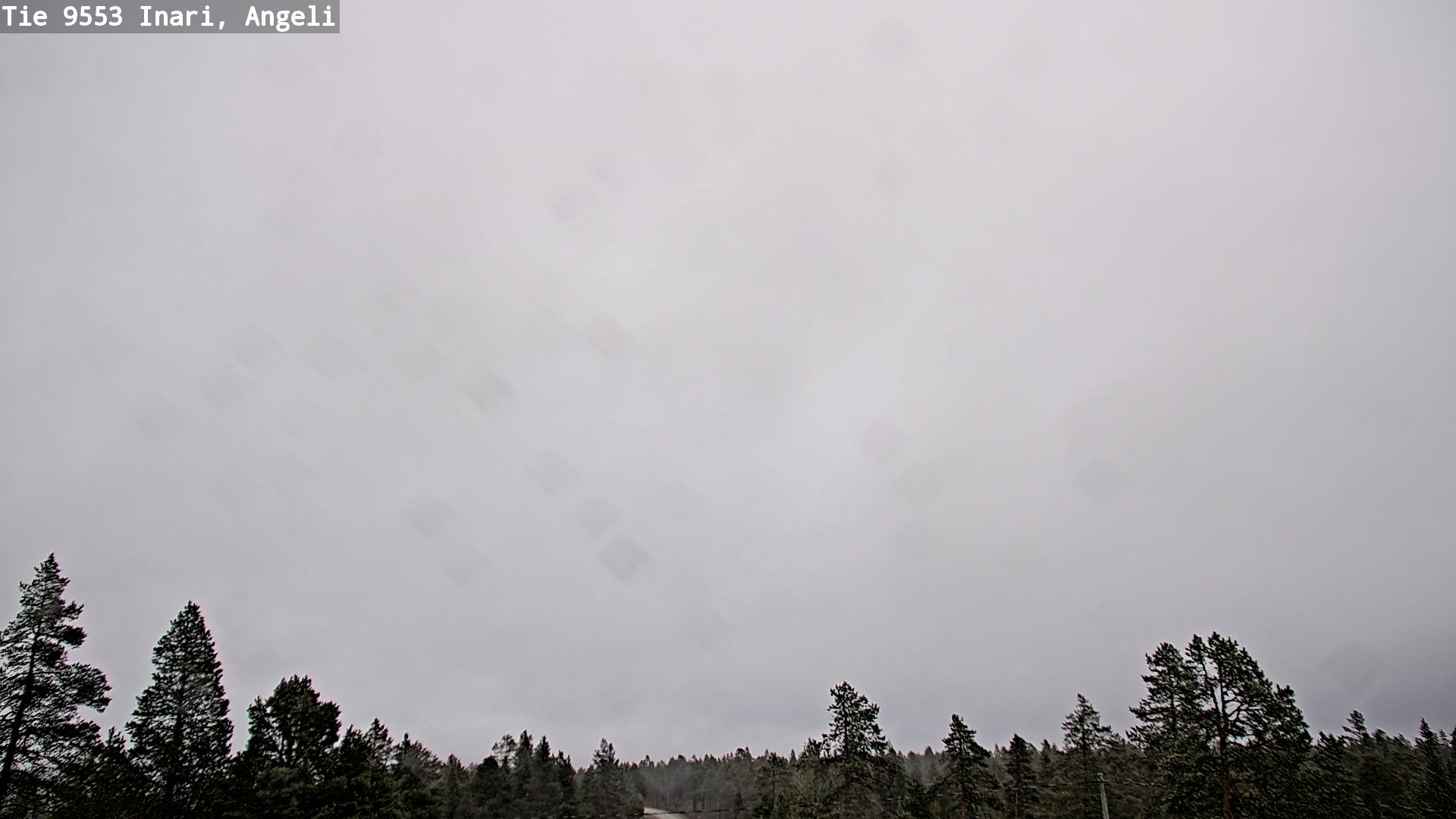 Weather Camera Image Road 9553 Inari, Angeli, Lintupuolivaara, Inari, Lappi