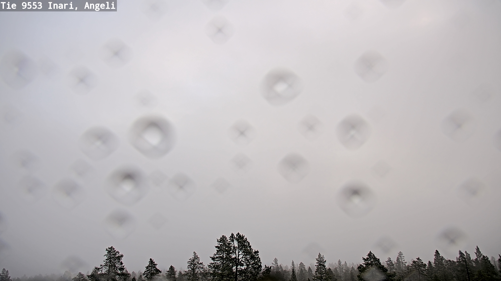 Kelikamerat Kuva Tie 9553 Inari, Angeli, Lintupuolivaara, Inari, Lappi