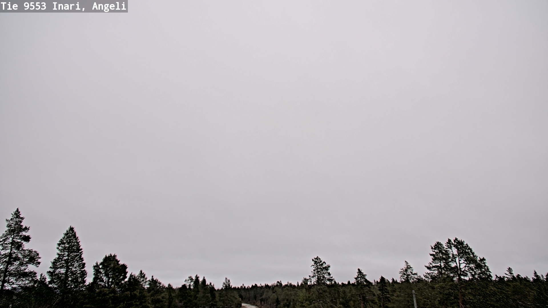 Kelikamerat Kuva Tie 9553 Inari, Angeli, Lintupuolivaara, Inari, Lappi