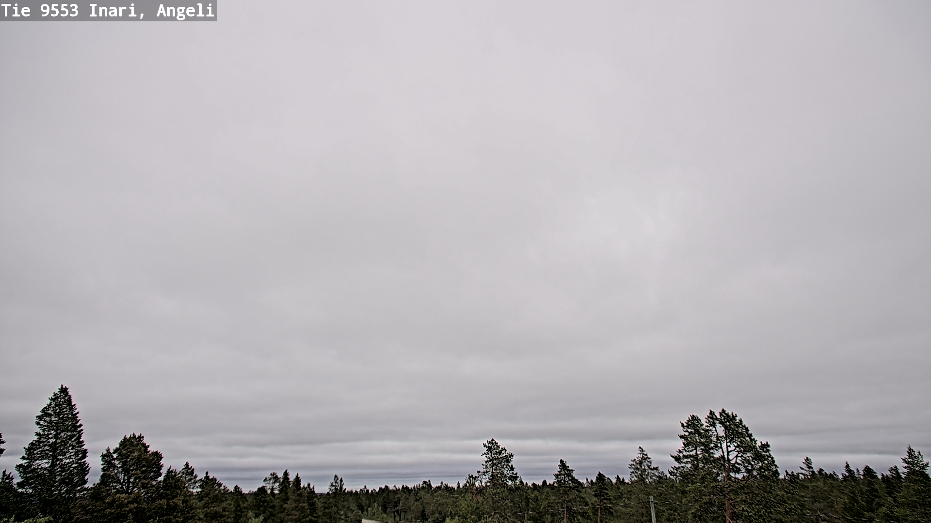 Weather Camera Image Road 9553 Inari, Angeli, Lintupuolivaara, Inari, Lappi