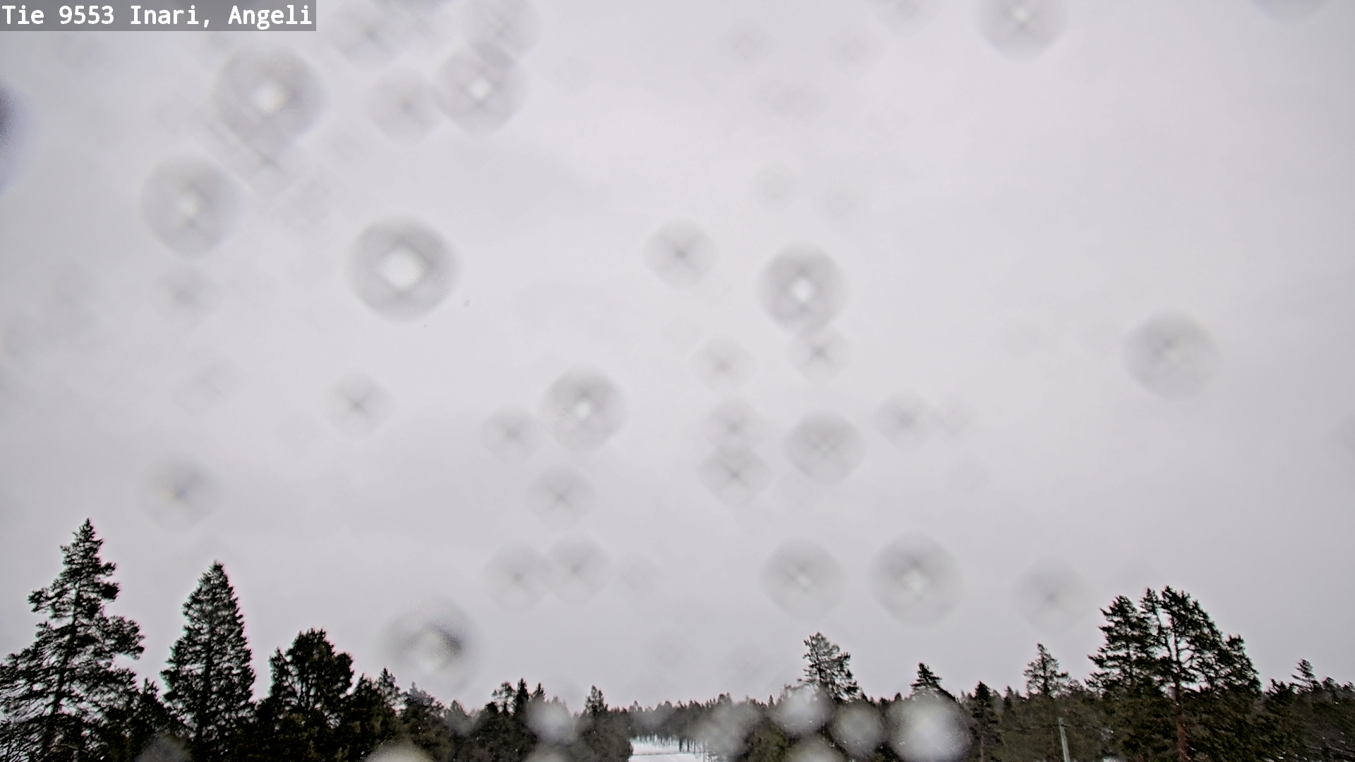 Kelikamerat Kuva Tie 9553 Inari, Angeli, Lintupuolivaara, Inari, Lappi