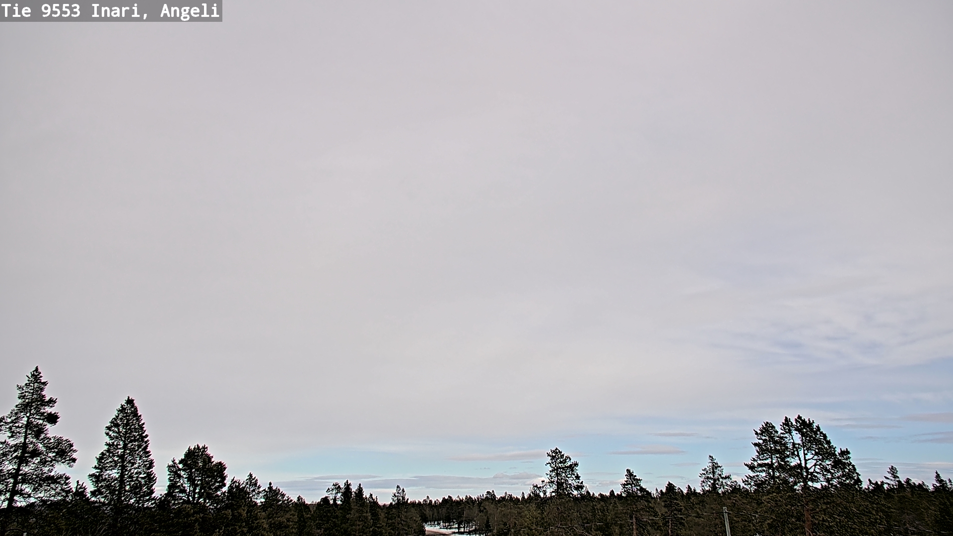 Weather Camera Image Road 9553 Inari, Angeli, Lintupuolivaara, Inari, Lappi