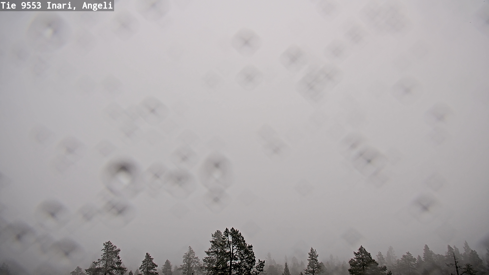 Kelikamerat Kuva Tie 9553 Inari, Angeli, Lintupuolivaara, Inari, Lappi