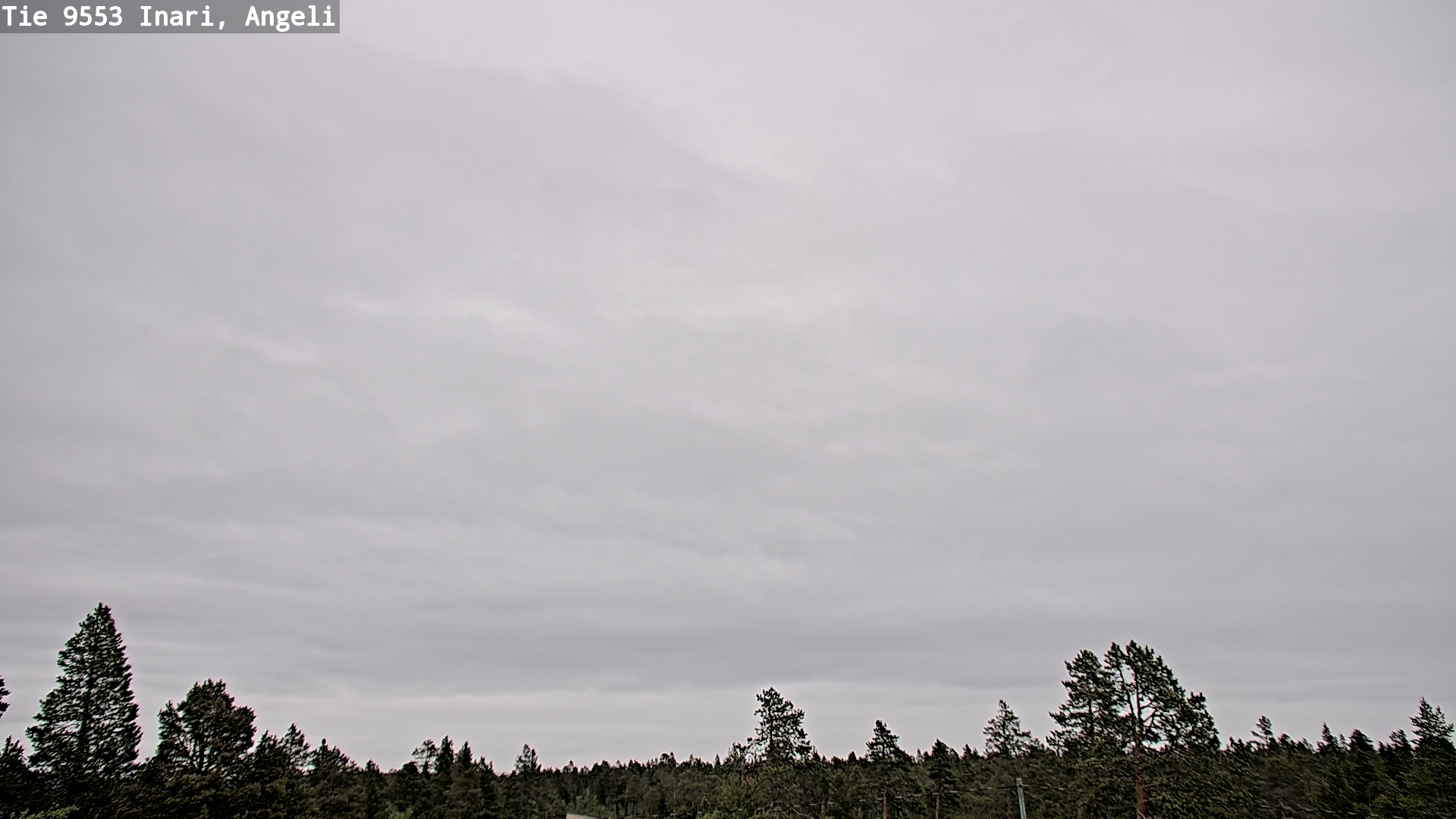Weather Camera Image Road 9553 Inari, Angeli, Lintupuolivaara, Inari, Lappi