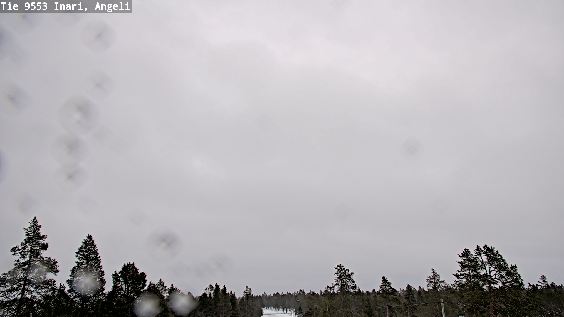 Kelikamerat Kuva Tie 9553 Inari, Angeli, Lintupuolivaara, Inari, Lappi