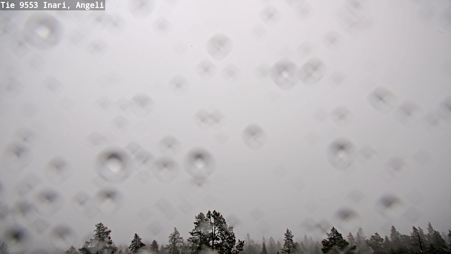 Kelikamerat Kuva Tie 9553 Inari, Angeli, Lintupuolivaara, Inari, Lappi