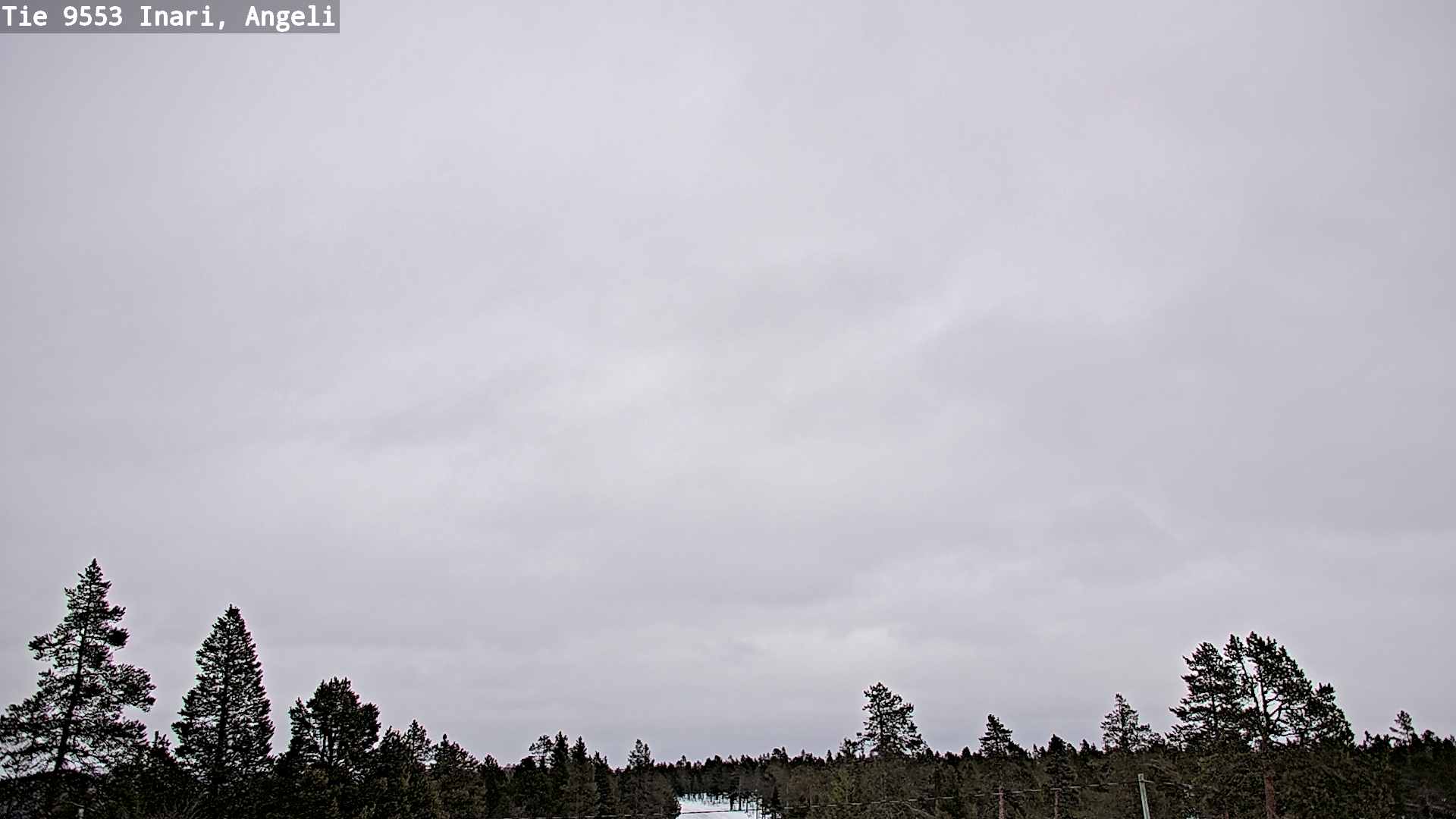 Weather Camera Image Road 9553 Inari, Angeli, Lintupuolivaara, Inari, Lappi