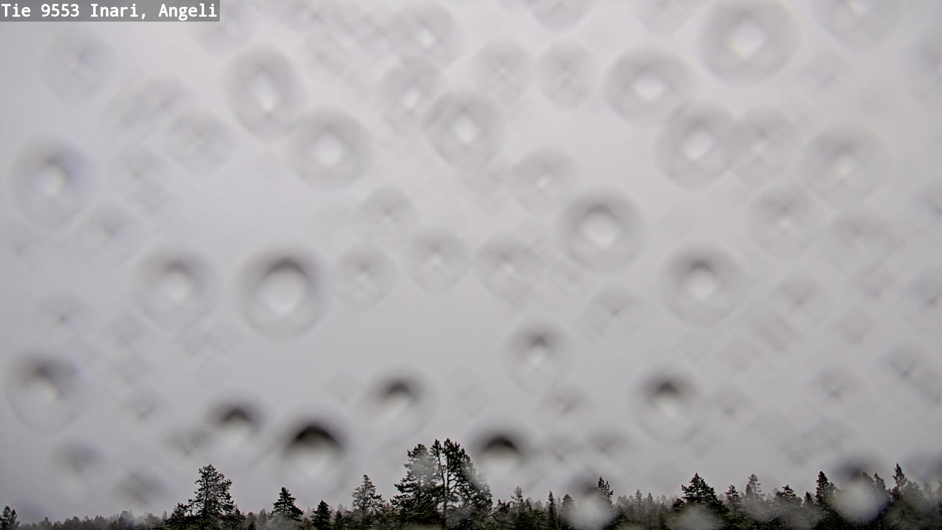 Kelikamerat Kuva Tie 9553 Inari, Angeli, Lintupuolivaara, Inari, Lappi