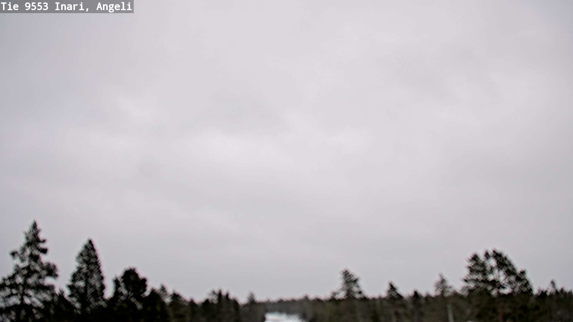 Kelikamerat Kuva Tie 9553 Inari, Angeli, Lintupuolivaara, Inari, Lappi