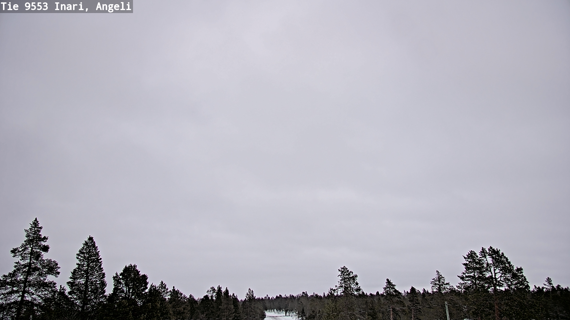 Kelikamerat Kuva Tie 9553 Inari, Angeli, Lintupuolivaara, Inari, Lappi