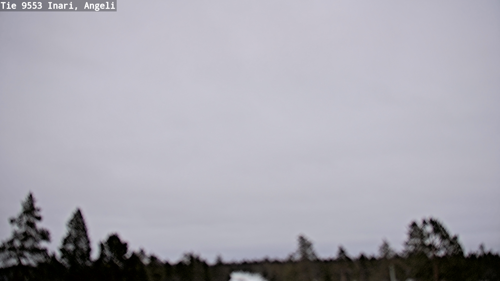 Kelikamerat Kuva Tie 9553 Inari, Angeli, Lintupuolivaara, Inari, Lappi