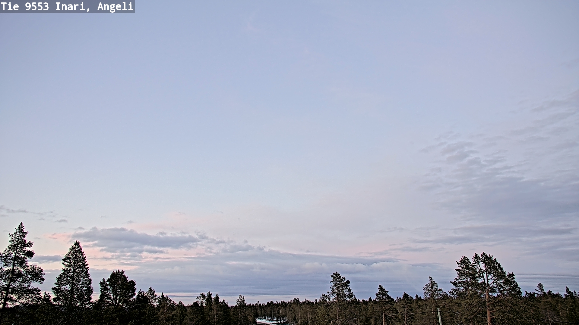 Weather Camera Image Road 9553 Inari, Angeli, Lintupuolivaara, Inari, Lappi