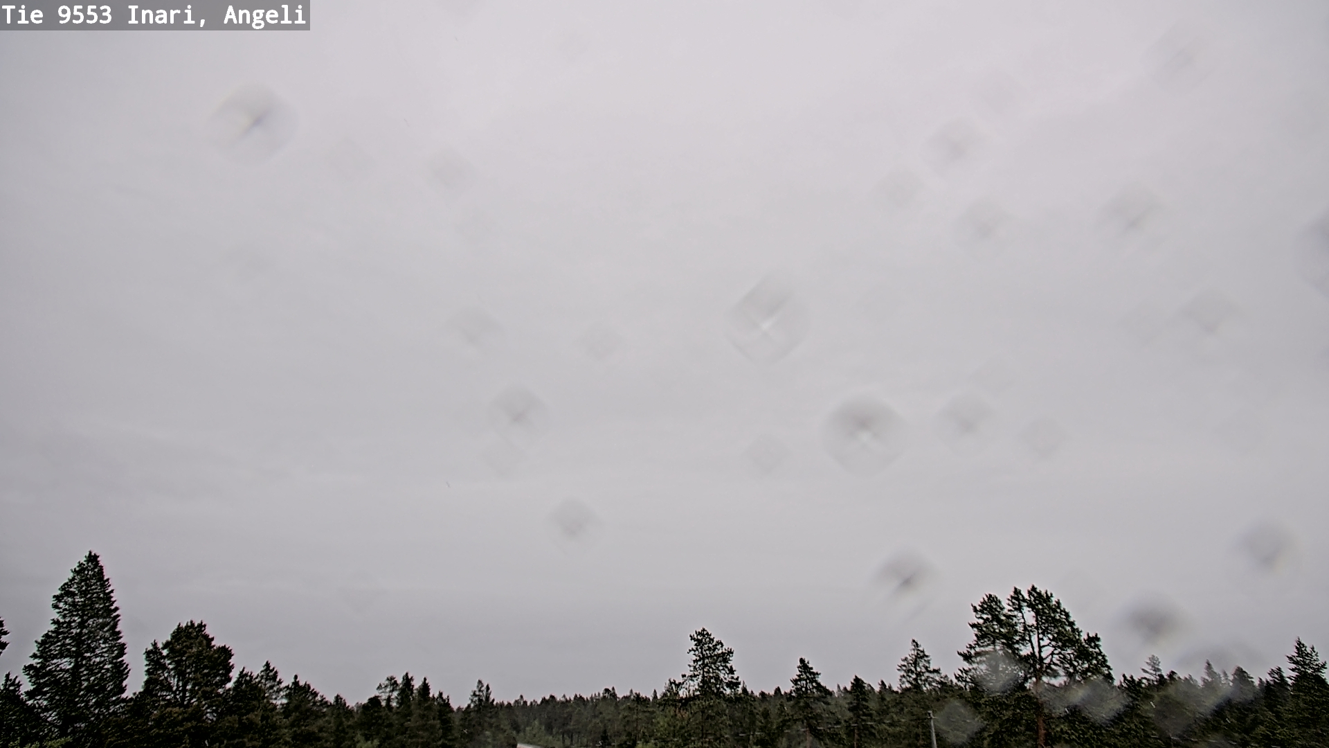 Weather Camera Image Road 9553 Inari, Angeli, Lintupuolivaara, Inari, Lappi