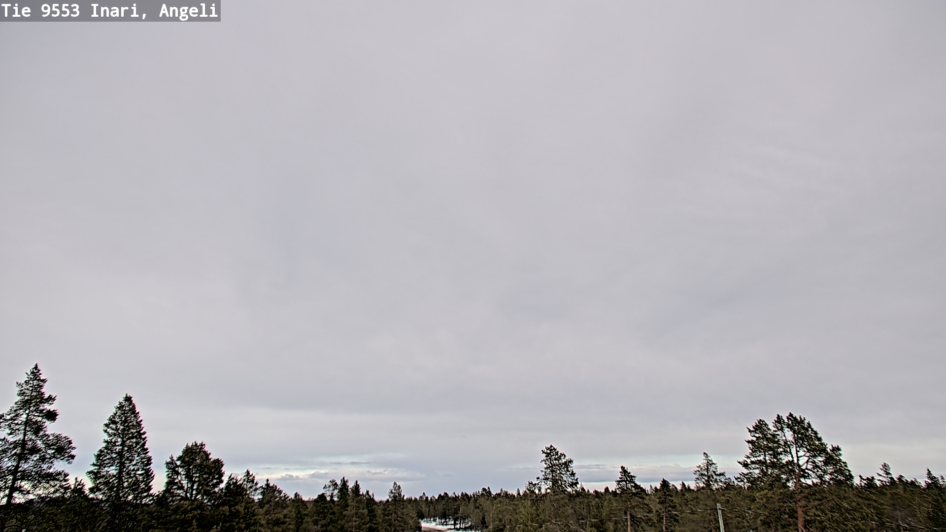 Weather Camera Image Road 9553 Inari, Angeli, Lintupuolivaara, Inari, Lappi