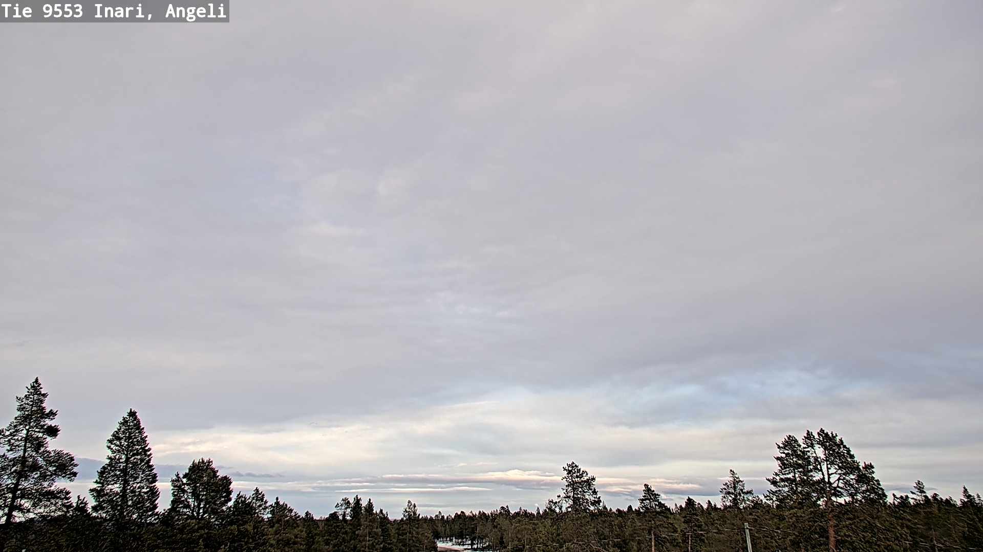 Weather Camera Image Road 9553 Inari, Angeli, Lintupuolivaara, Inari, Lappi