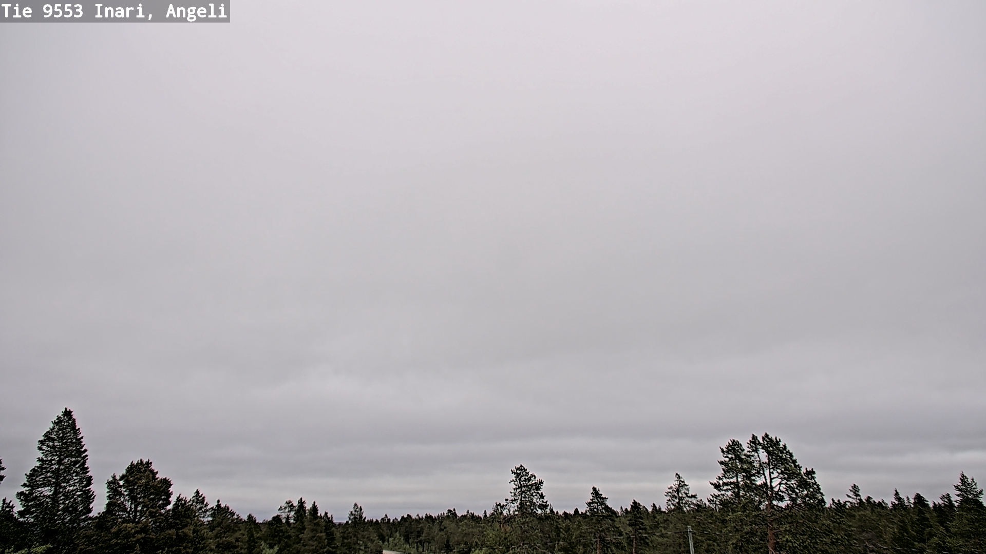 Kelikamerat Kuva Tie 9553 Inari, Angeli, Lintupuolivaara, Inari, Lappi