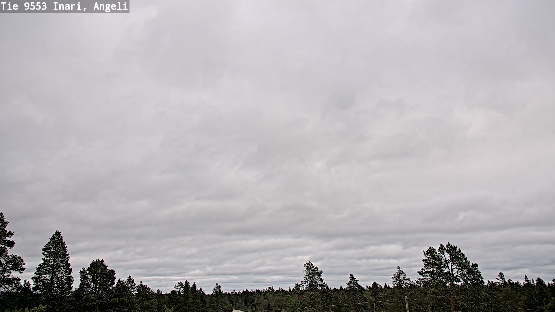 Kelikamerat Kuva Tie 9553 Inari, Angeli, Lintupuolivaara, Inari, Lappi