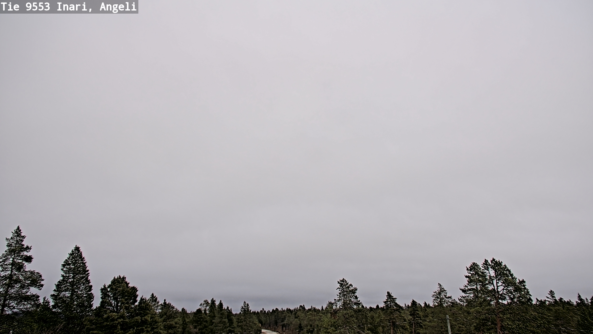 Kelikamerat Kuva Tie 9553 Inari, Angeli, Lintupuolivaara, Inari, Lappi