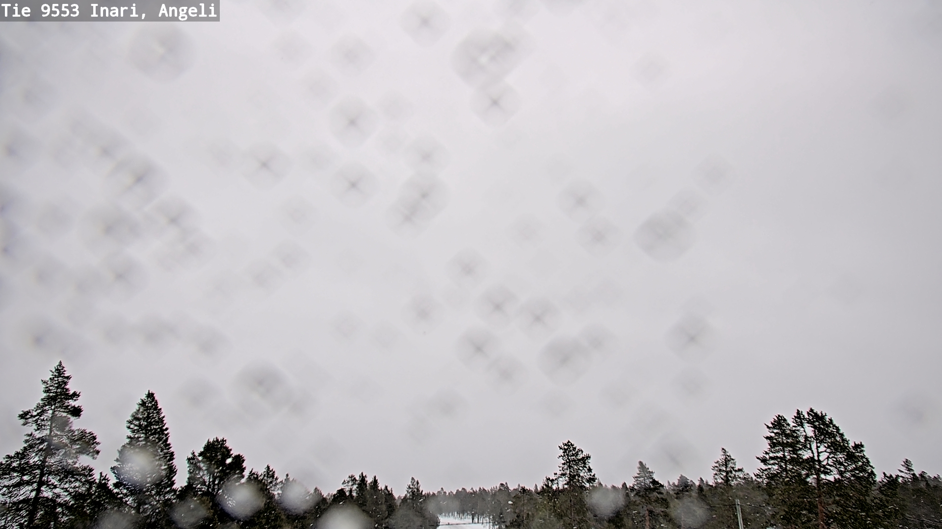 Kelikamerat Kuva Tie 9553 Inari, Angeli, Lintupuolivaara, Inari, Lappi